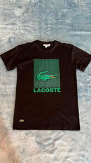 Camisa Lacoste Tam GG